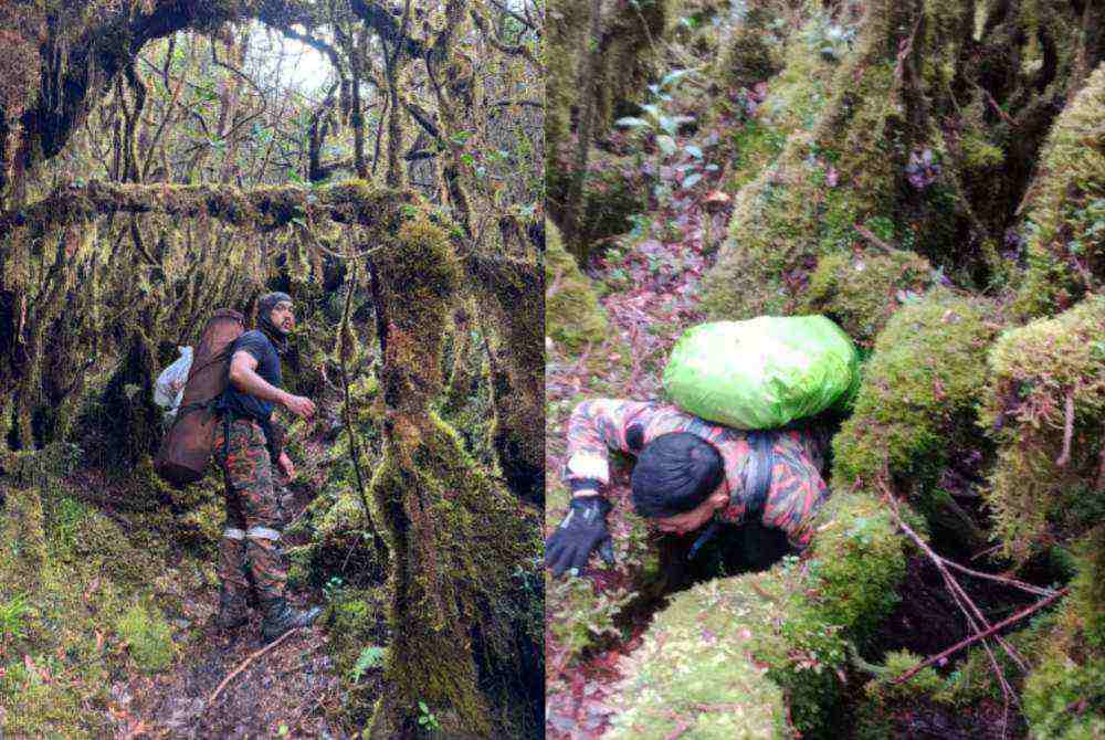 Image from: ‘I fell many times, struggled through the nights’ - Jaslinda speaks after 15 days missing in jungle