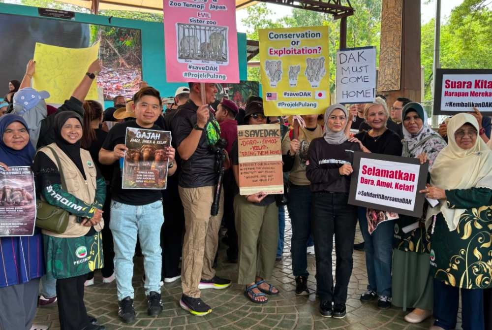 Image from: PN Taiping calls for transparent probe into elephant transfer to Japan