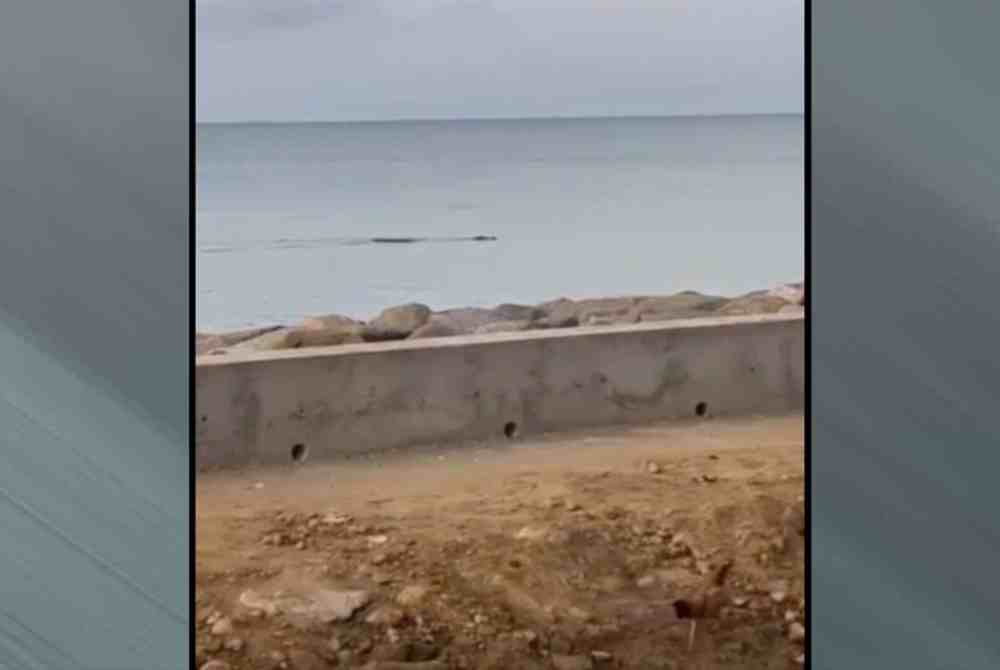 Image from: Another crocodile attack in Lahad Datu as man killed retrieving fishing net