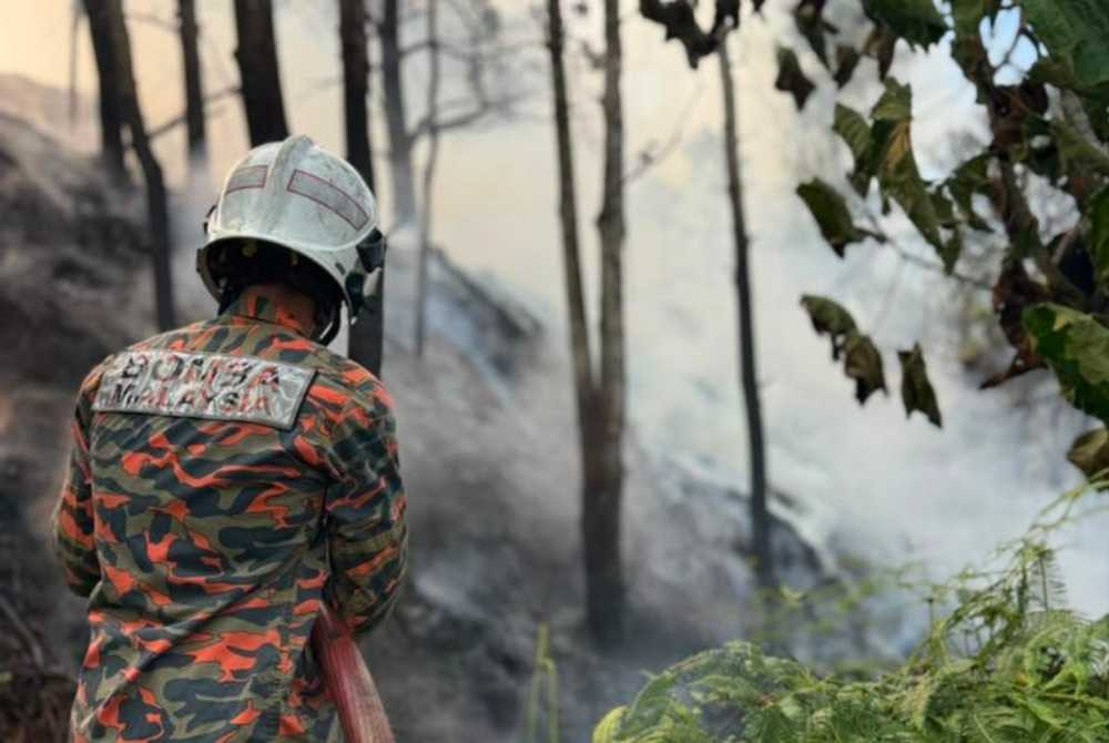 Image from: Two-acre forest fire breaks out in Puncak Alam