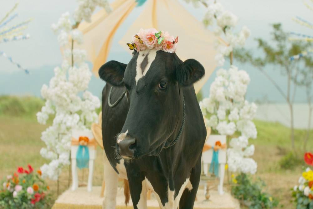 Image from: An entertaining Malaysian-found mojo in ‘Mojoku Hilang’