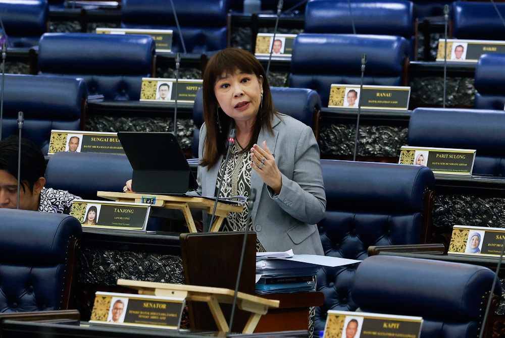 Image from: Penang records 349 domestic violence cases last year
