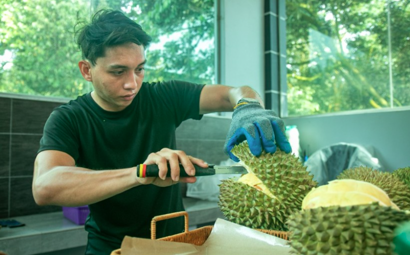 Image from: When a durian orchard becomes a holiday destination