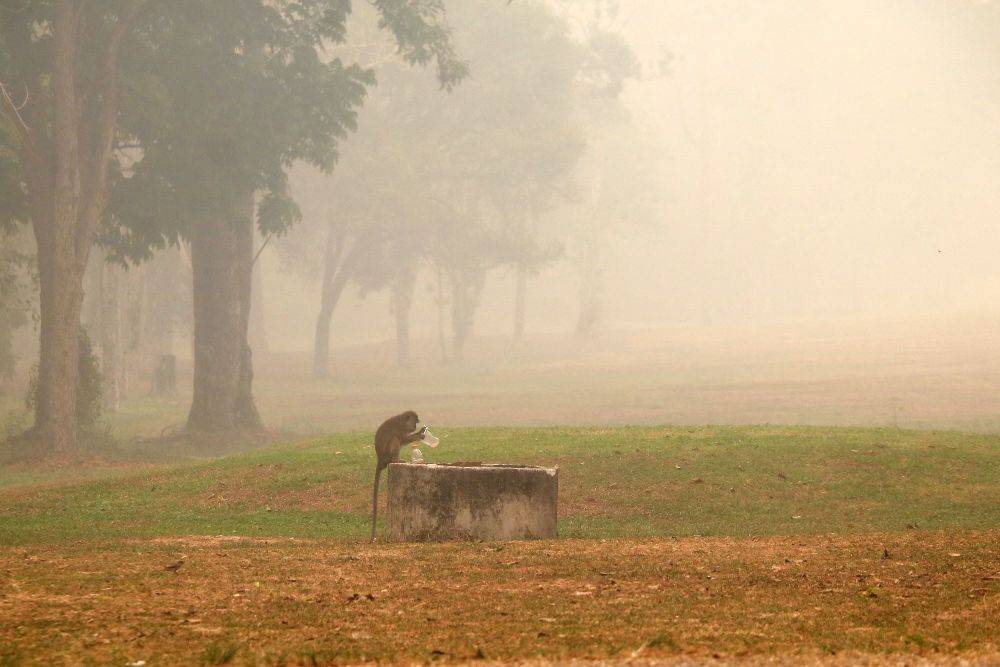 Image from: ‘When there is no smoke, we send oxygen’ – Indonesian government communications chief
