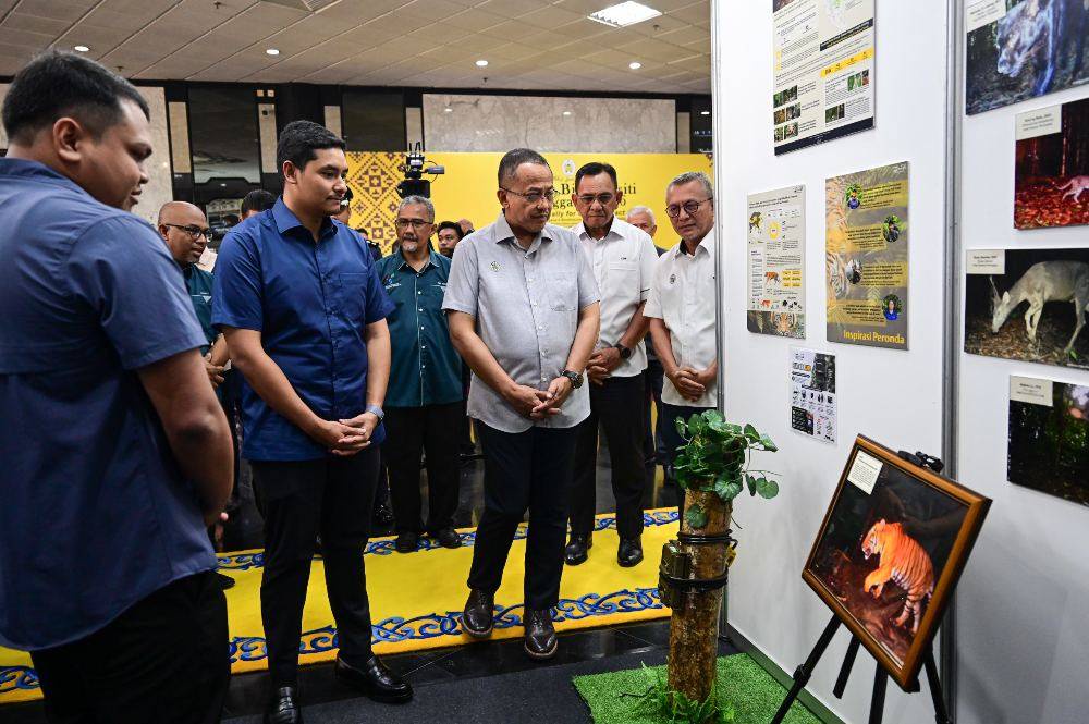 Image from: Melaka polls: Bersatu must explain how it will use PN logo - Ahmad Samsuri