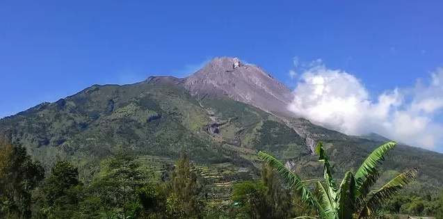 Image from: Kebakaran Hutan Makin Merebak, Gunung Bromo Ditutup Sepenuhnya Kepada Pelancong