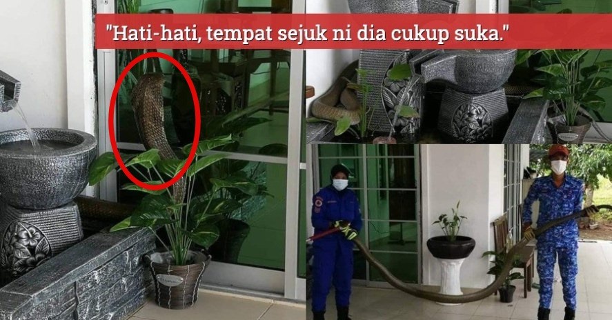 Image from: Misteri Bunyi Ketukan Jam 3 Pagi Di Puncak Alam, Ramai Tak Lena Tidur