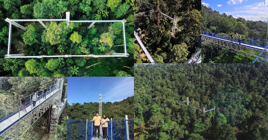 Image from: Hutan FRIM Bidor Terbakar, Pemadaman Disambung Pagi Ini