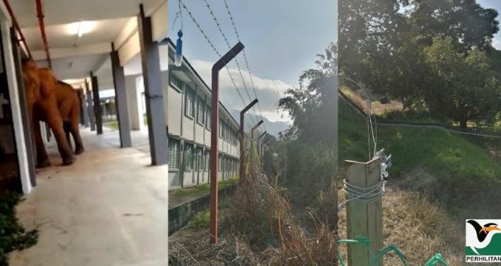 Image from: Mek Jeram Jadi Tumpuan, Penduduk Berpusu-Pusu Datang Tengok Sebelum Dipindahkan