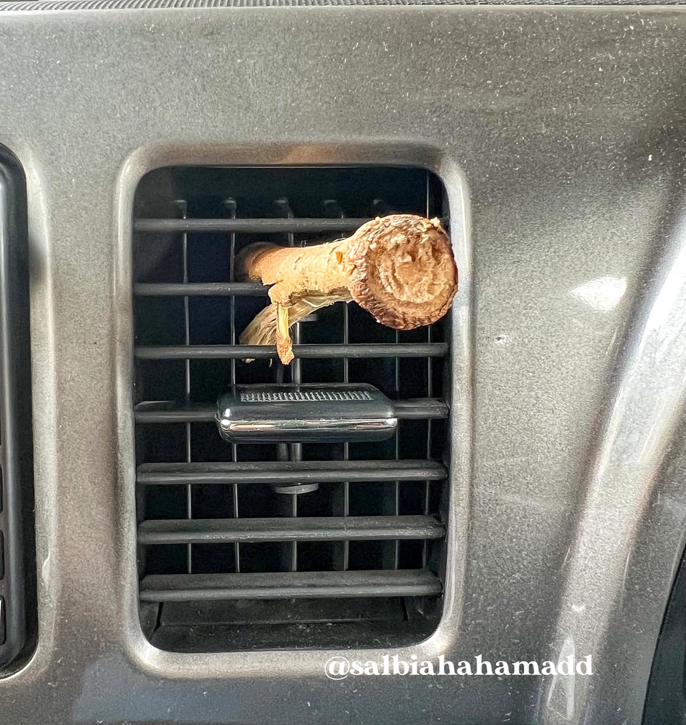 Tips Hilangkan Bau Durian Kereta