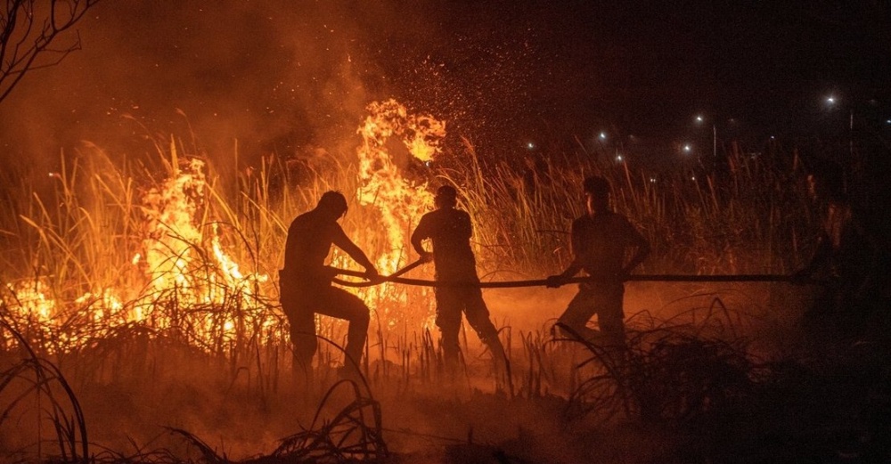 Image from: 72 Individu Disyaki Terlibat Dalam Kes Kebakaran Hutan & Tanah Di Indonesia