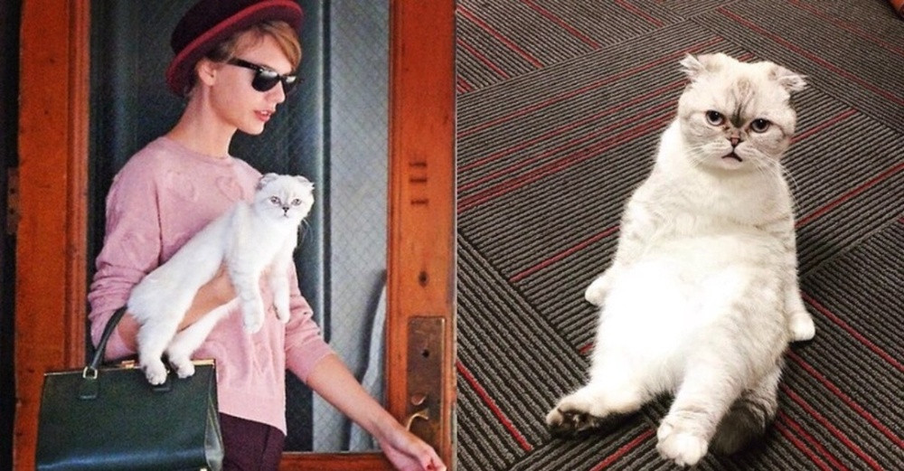 Image from: Kekayaan Cecah AS$2 Bilion, Taylor Swift Pemuzik Wanita Terkaya Dunia
