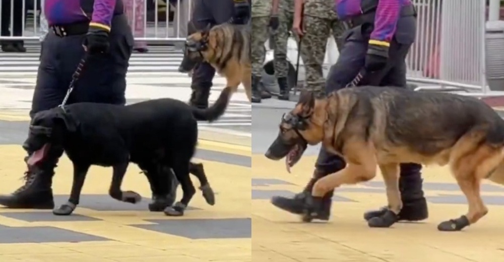 Image from: Kanak-Kanak Lelaki Cedera Kaki Digilis Tayar Kenderaan Penunda