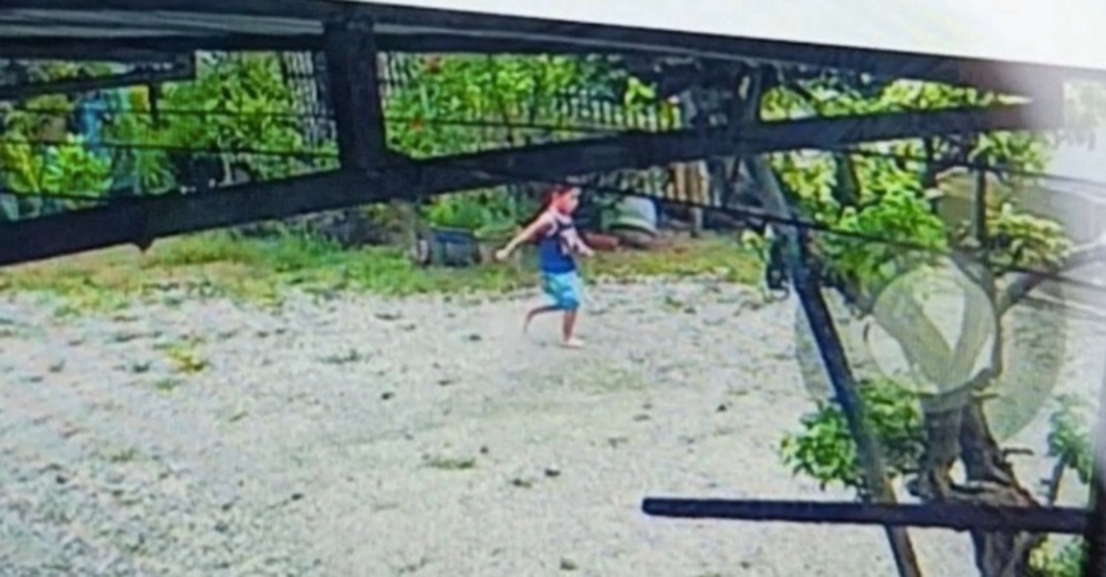 Image from: Kanak-Kanak Autistik Hilang Ditemukan Meninggal Dunia Di Kebun Kelapa Sawit