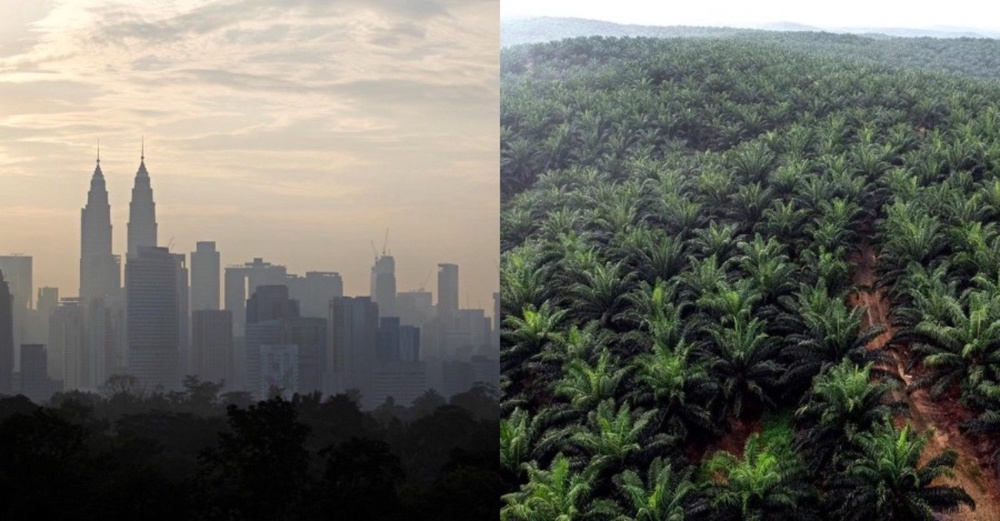 Image from: Algeria Lulus Undang-Undang Hukuman Mati Terhadap Pelaku Bakar Hutan