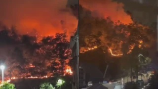 Image from: Kebakaran Hutan Di Dungun, Wanita Kongsi Keadaan Sekitar Rumah Diselubungi Asap