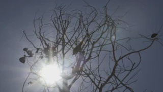 Image from: Hujan Lebat, Ribut Petir Di Kebanyakan Negeri Malam Ini