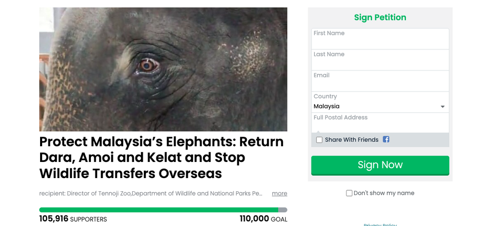 Image from: Petisyen Bawa Pulang Dara, Amoi & Kelat Raih Perhatian, Lebih 100,000 Orang Sokong