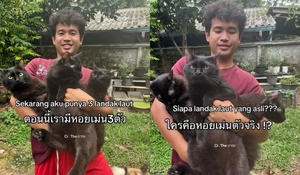 Image from: Lelaki Jumpa Semula Kucing Hilang, Tapi Ada "Plot Twist" Yang Buat Ramai Ketawa