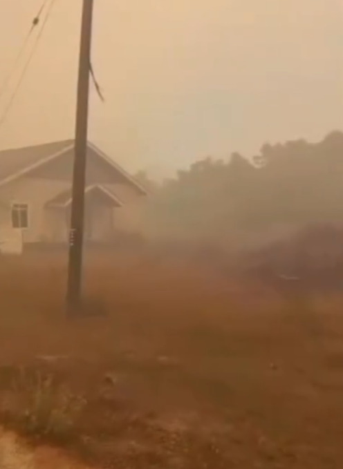 Image from: Kebakaran Hutan Di Dungun, Wanita Kongsi Keadaan Sekitar Rumah Diselubungi Asap