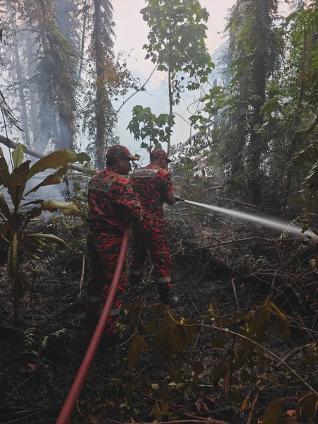 Image from: Kebakaran Hutan Di Dungun, Wanita Kongsi Keadaan Sekitar Rumah Diselubungi Asap