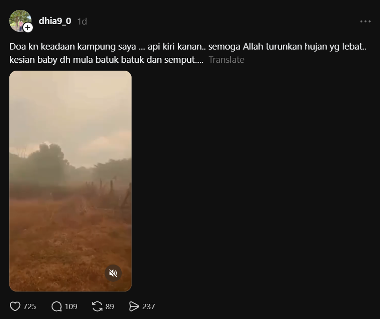 Image from: Kebakaran Hutan Di Dungun, Wanita Kongsi Keadaan Sekitar Rumah Diselubungi Asap