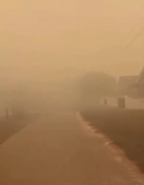 Image from: Kebakaran Hutan Di Dungun, Wanita Kongsi Keadaan Sekitar Rumah Diselubungi Asap