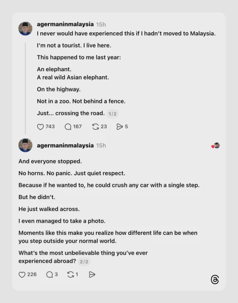 Image from: Lelaki Jerman Puji Budaya Pemandu Malaysia Sebab Ni