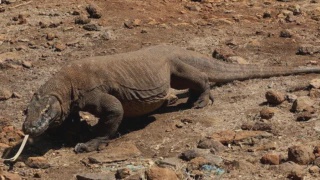 Image from: 58 MRSM Bakal Terima Warden Dalam Kalangan Bekas Anggota Beruniform Tahun Hadapan