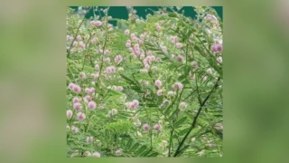 Image from: 58 MRSM Bakal Terima Warden Dalam Kalangan Bekas Anggota Beruniform Tahun Hadapan