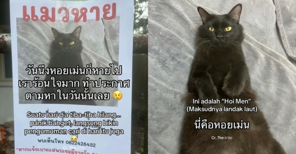 Image from: Lelaki Jumpa Semula Kucing Hilang, Tapi Ada "Plot Twist" Yang Buat Ramai Ketawa