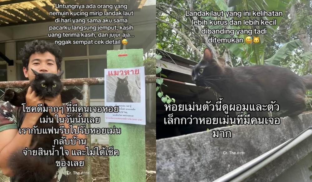 Image from: Lelaki Jumpa Semula Kucing Hilang, Tapi Ada "Plot Twist" Yang Buat Ramai Ketawa