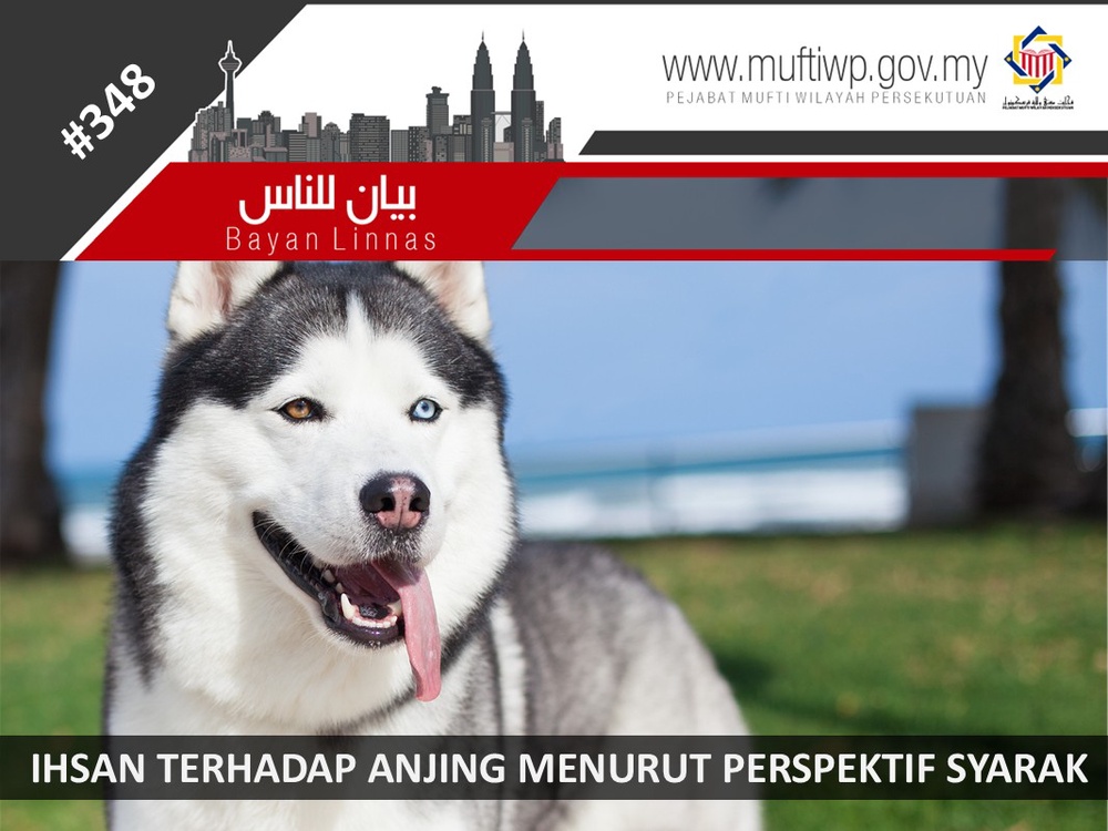 Image from: Mufti WP Jelaskan Sifat Ihsan Terhadap Anjing Menurut Perspektif Syarak