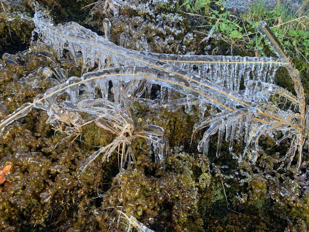 Image from: Pendaki Kongsi Fenomena Pembekuan Ais Di Gunung Kinabalu