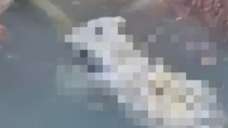 Image from: Hujan Lebat Akibatkan Banjir Kilat Di Cameron Highlands