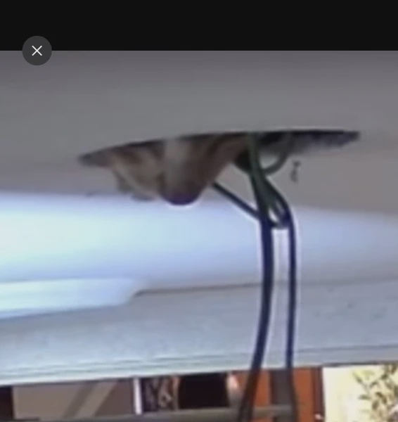 Image from: Bila "Check" Tiada Apa, CCTV Dedah Kelibat Sosok Di Atas Rumah