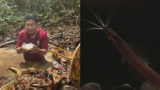 Image from: Kali Terakhir Dilihat Pada 2017, Penyu Belimbing Dipercayai Kembali Mendarat Di Pantai Marang