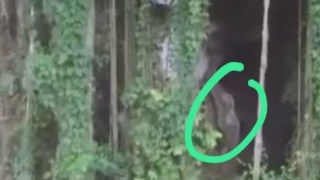 Image from: "Pergi 7 Orang, Balik 8 Orang.." Wanita Kongsi Pengalaman Misteri Masuk Hutan