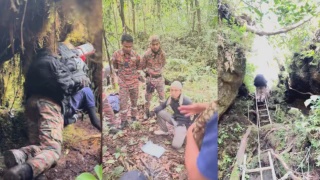 Image from: Bomba Jelas Sebab Khidmat Anjing Pengesan K9 Tidak Diguna Dalam SAR Jaslinda