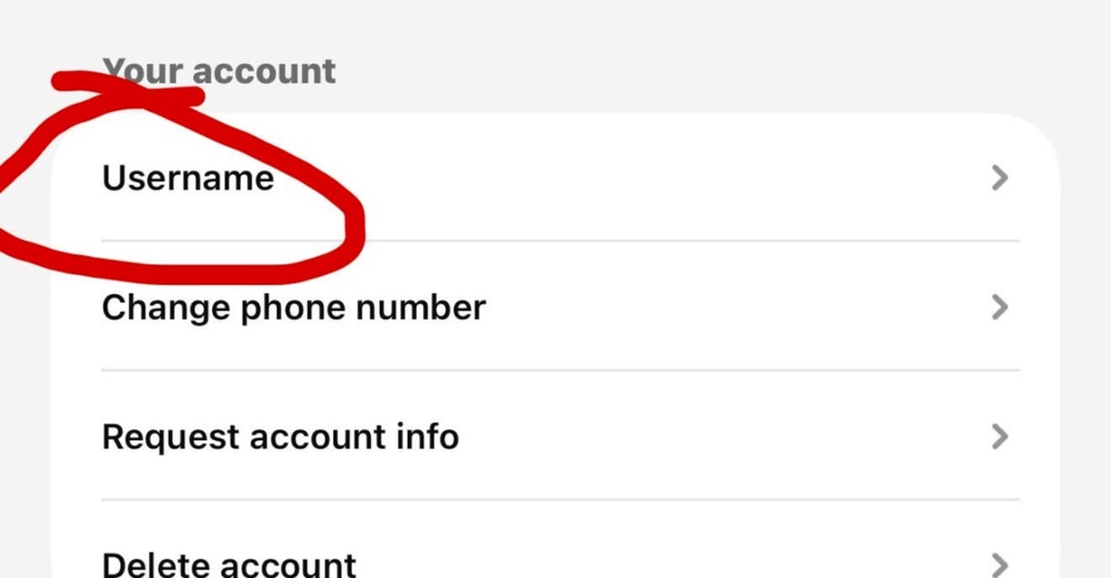 Image from: WhatsApp Perkenal Username, Pengguna Kini Tak Perlu Lagi Kongsi Nombor Telefon