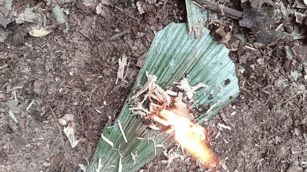 Image from: Cara Buat 'Cone Fire' Jika Sesat Dalam Hutan, Ilmu Survival Wajib Tahu