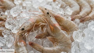 Image from: Perang Udang Thailand-Malaysia: Perkongsian Lelaki Ini Cuit Pelbagai Reaksi