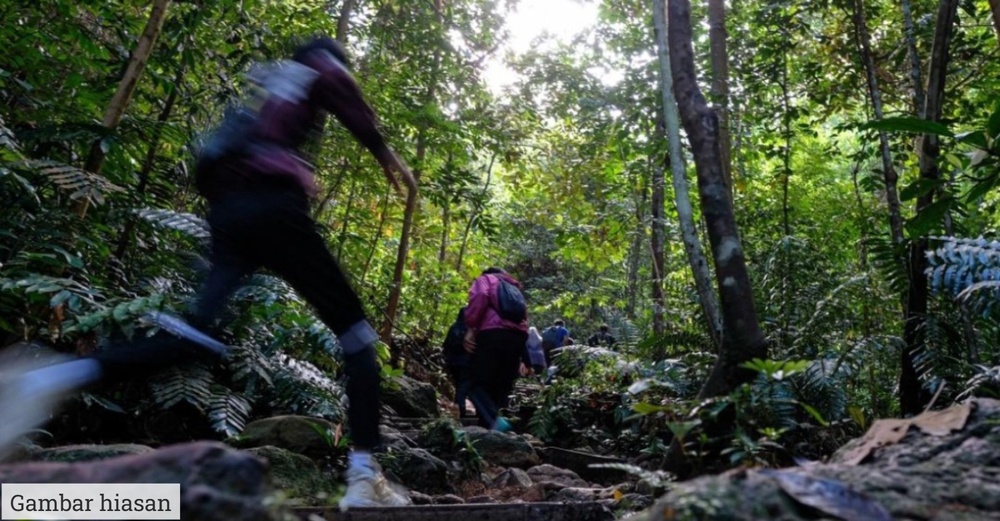 Image from: Lelaki Kongsi Idea Luar Kotak Bendung Masalah Sesat Dalam Hutan
