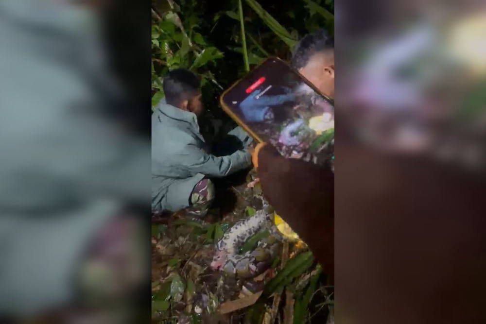 Image from: Lelaki Tewas Diserang, Dibelit Ular Sawa Gergasi Sepanjang 7 Meter
