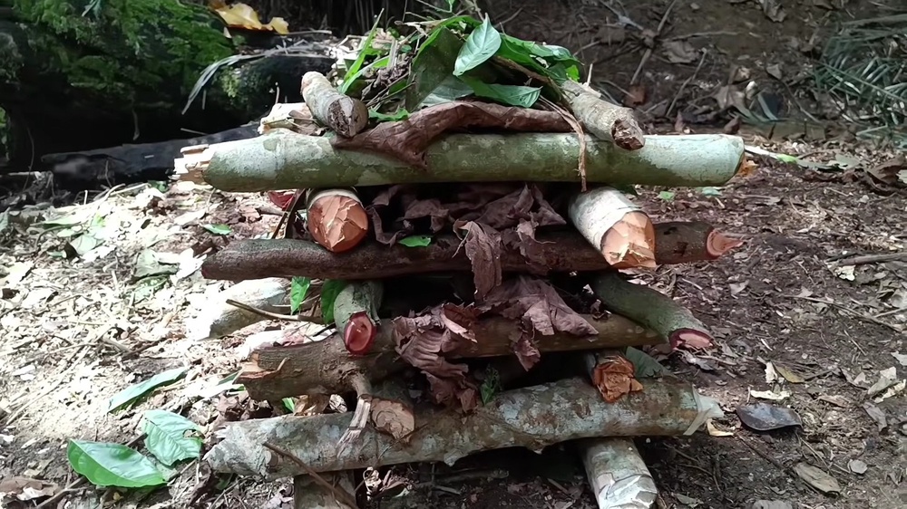 Image from: Cara Buat 'Cone Fire' Jika Sesat Dalam Hutan, Ilmu Survival Wajib Tahu