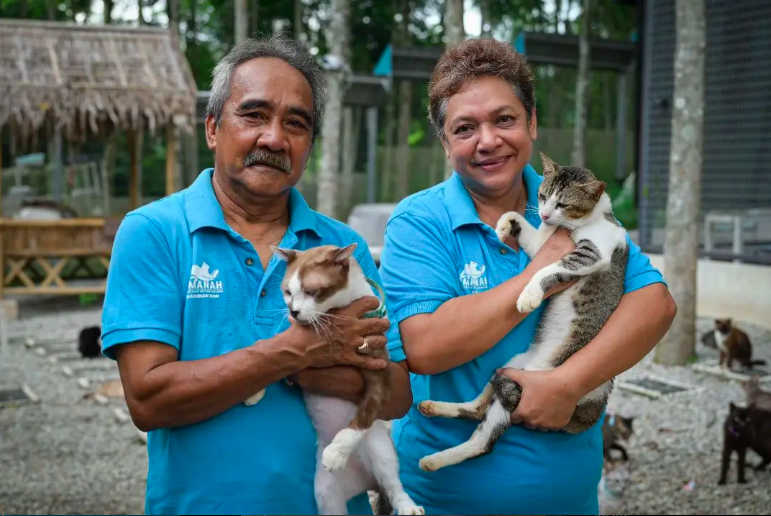 Image from: Si Bulus Cium Tangan Sebelum ‘Pergi’, Antara Detik Pilu Hashim Jaga 400 Kucing Terbiar