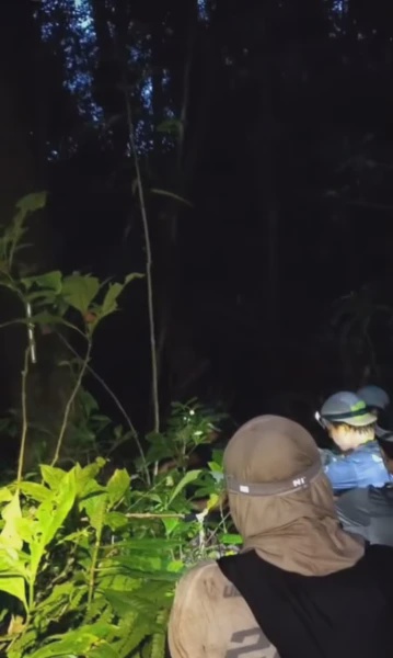 Image from: "Pergi 7 Orang, Balik 8 Orang.." Wanita Kongsi Pengalaman Misteri Masuk Hutan