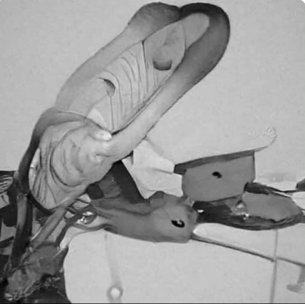 Image from: Gambar 'Ujian Hospital Mental' Buat Netizen Malaysia Berdekah