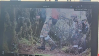Image from: Cara Buat 'Cone Fire' Jika Sesat Dalam Hutan, Ilmu Survival Wajib Tahu