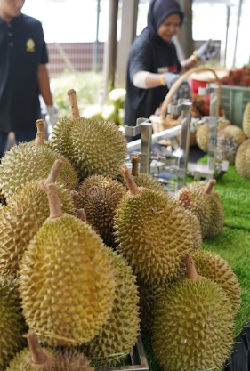 Image from: Durian Hub Kembali Meriahkan Palm Garden Hotel, Putrajaya